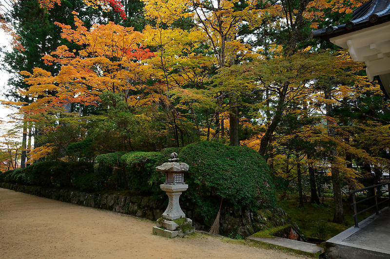 2021年和歌山の紅葉@高野山 其の二_f0032011_20055493.jpg