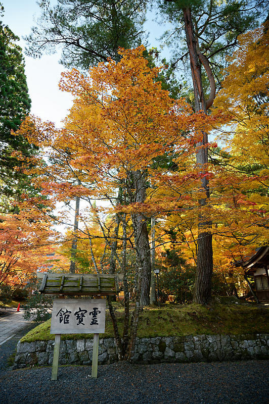 2021年和歌山の紅葉@高野山 其の三_f0032011_20522162.jpg