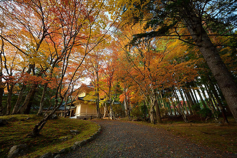 2021年和歌山の紅葉@高野山 其の三_f0032011_20522394.jpg