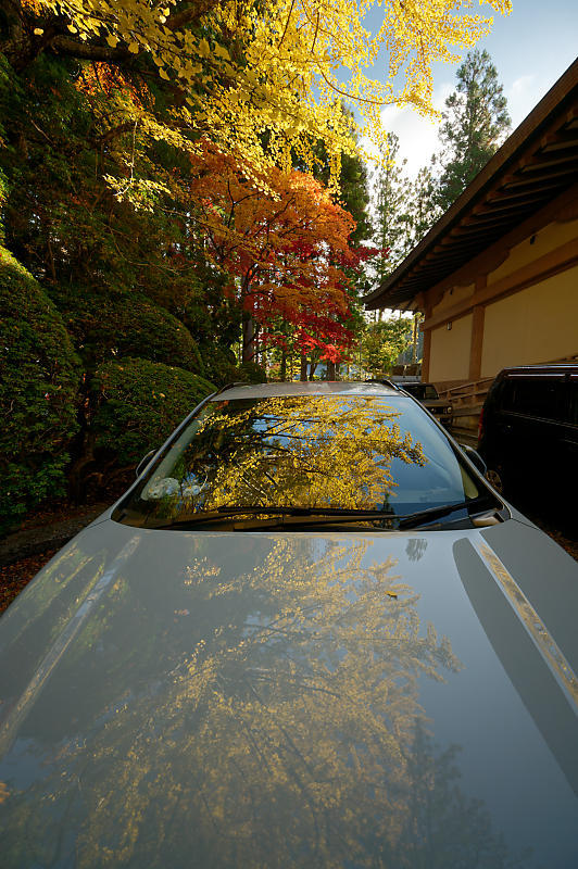 2021年和歌山の紅葉@高野山 其の三_f0032011_20552996.jpg