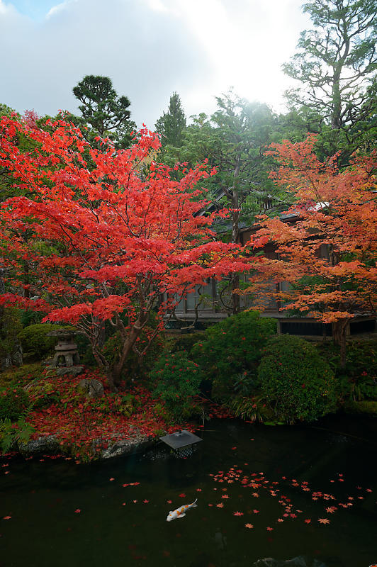 2021年和歌山の紅葉@高野山 其の三_f0032011_20553017.jpg