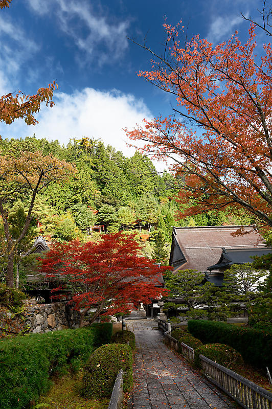2021年和歌山の紅葉@高野山 其の三_f0032011_20573601.jpg