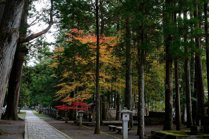 2021年和歌山の紅葉@高野山 其の三_f0032011_20573695.jpg