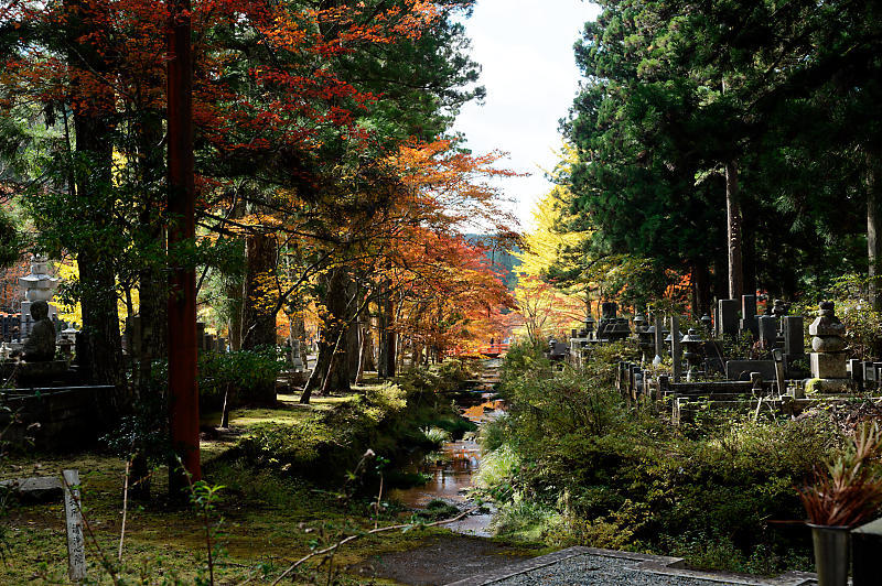 2021年和歌山の紅葉@高野山 其の三_f0032011_20573784.jpg