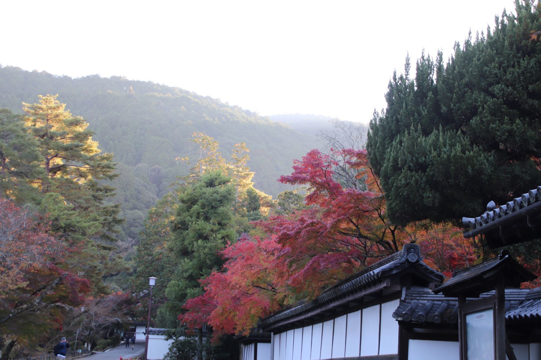 南禅寺でも紅葉が始まった_e0048413_18443755.jpg