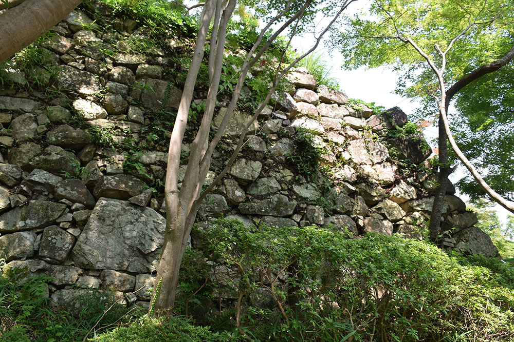 豊臣秀次が築いた八幡山城を歩く。 その1 <登城口~二ノ丸>_e0158128_21073939.jpg