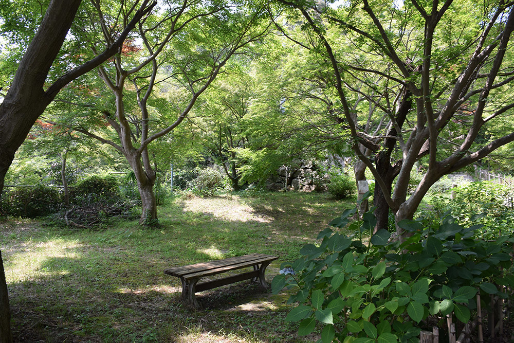 豊臣秀次が築いた八幡山城を歩く。 その1 <登城口~二ノ丸>_e0158128_21263747.jpg