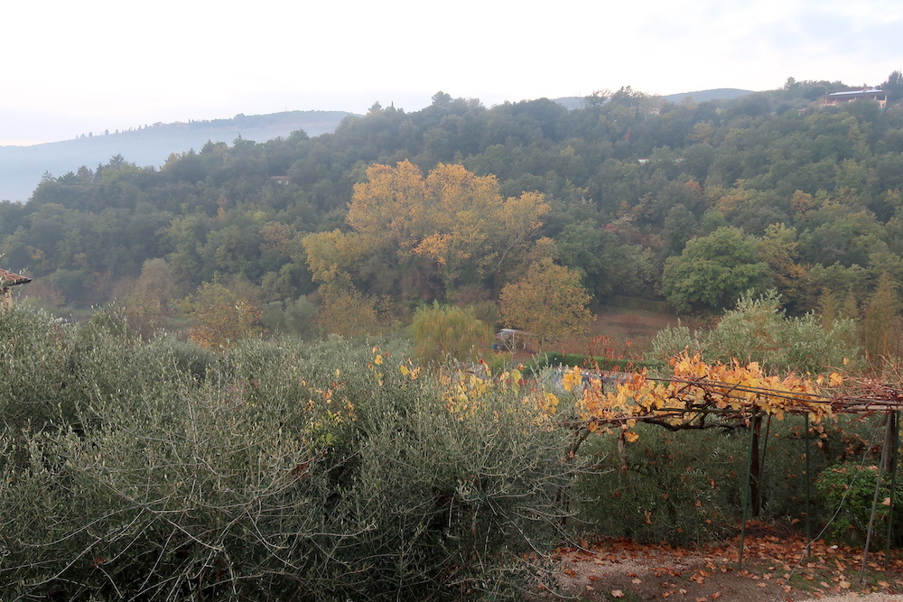 秋深いラヴェルナへ霧のペルージャ・テベレ渓谷から_f0234936_19180266.jpg