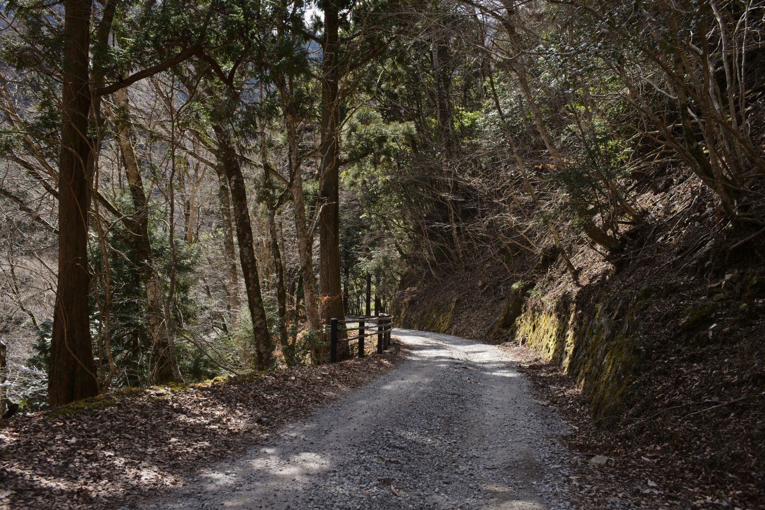 【重要文化財|天城山隧道】(旧天城トンネル) バス、駐車場、見学詳細案内_b0212342_11480252.jpg
