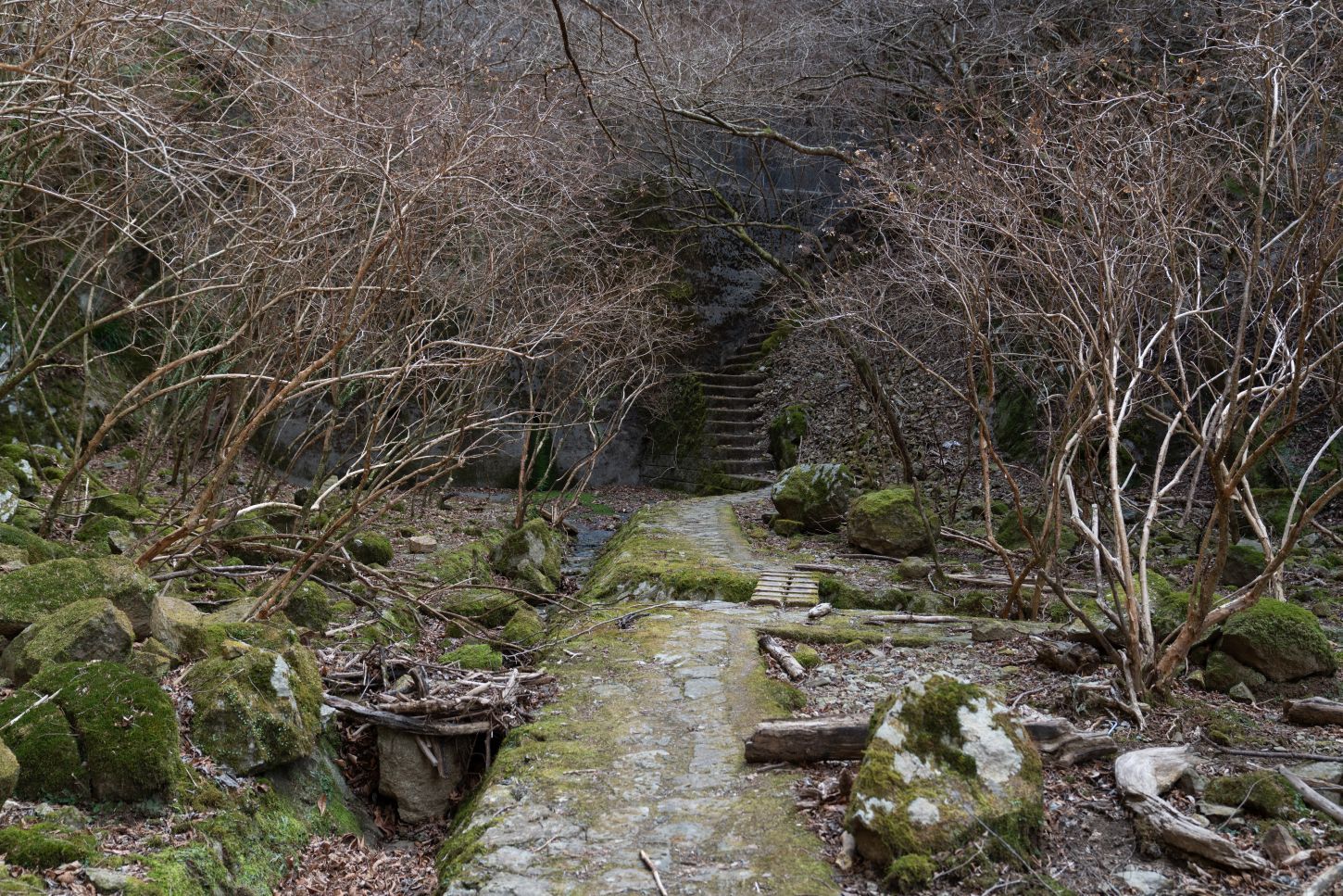 【重要文化財|天城山隧道】(旧天城トンネル) バス、駐車場、見学詳細案内_b0212342_11530388.jpg