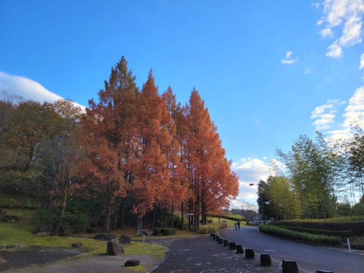 福島空港公園　@福島県玉川村_f0048546_17071389.jpg