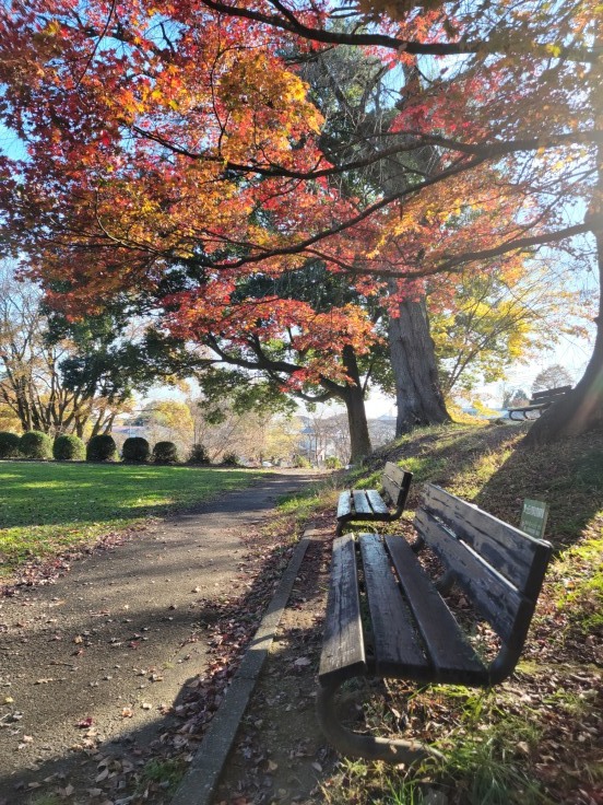 翠ヶ丘公園 福島県須賀川市 963 77