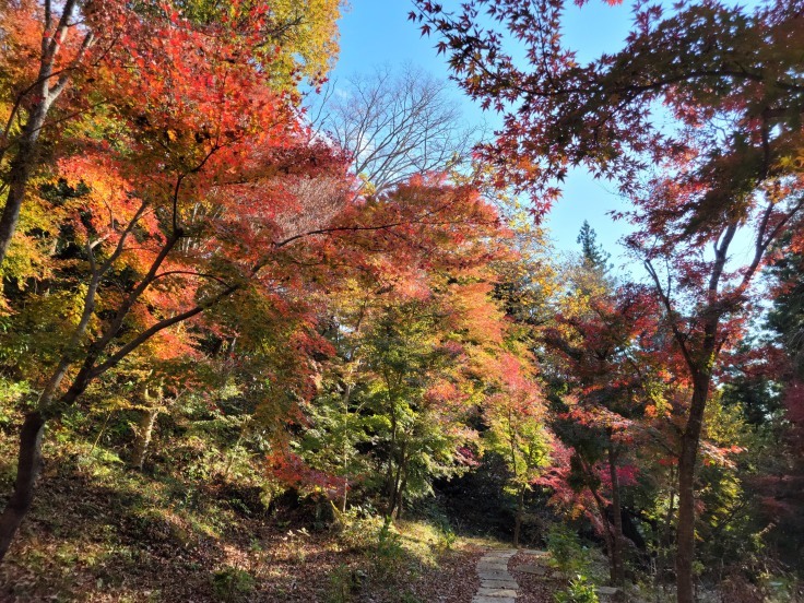 石都々古和気神社３／４　@福島県石川町_f0048546_22001626.jpg