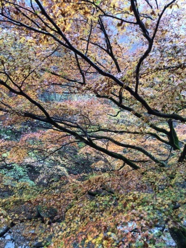 外出レク_d0178056_16362526.jpg