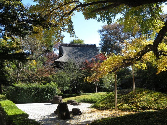 紅葉見に行ったら緑だったので過去写真、踏切事故の予感、黄表紙あれこれ(オオカミ、浦島太郎)2021/11/11-13まとめ_b0116271_00085727.jpg