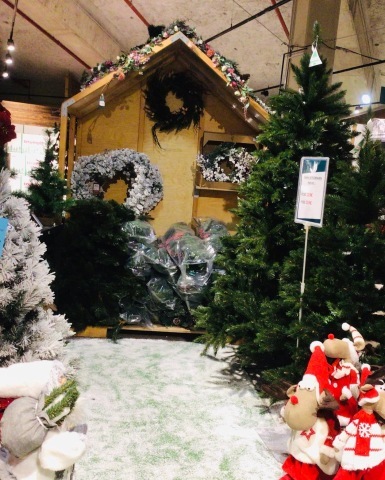 11月14日_c0134071_15050585.jpeg