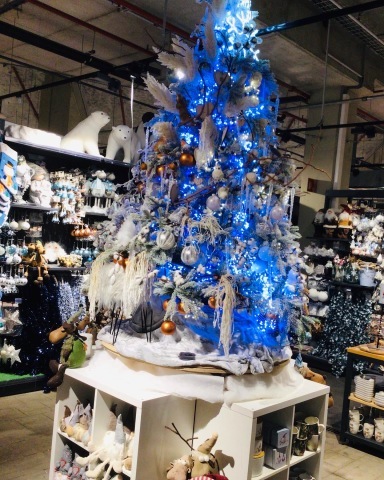11月14日_c0134071_15053578.jpeg