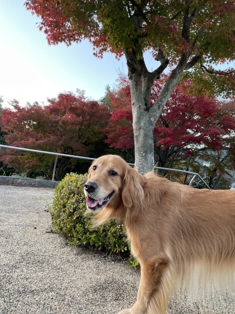 明日へ。_a0394574_21392110.jpeg