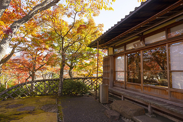 箱根美術館の紅葉①_b0145398_20265703.jpg