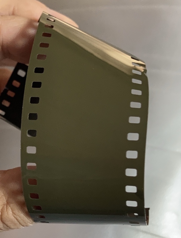 コレレ（ベスト判） ベスト判カメラで135フィルムを使う : 相模原・町田エリアの写真