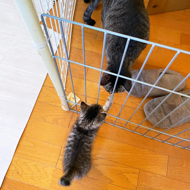 興味しんしん!_d0355333_22150689.jpg