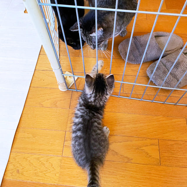 興味しんしん!_d0355333_22150889.jpg