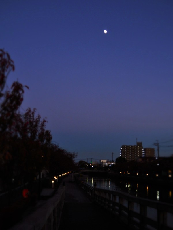 月夜の帰り道 (´艸`*)_e0339064_13320346.jpg