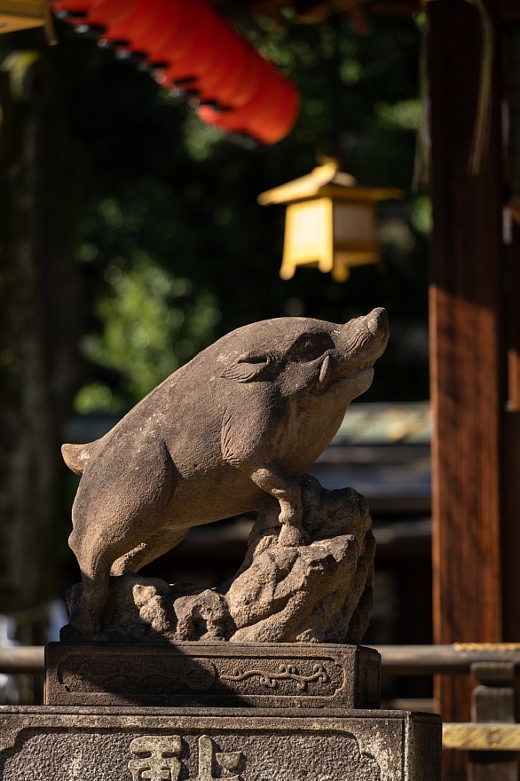 イノシシが跳梁跋扈する神社_d0353489_09234364.jpg