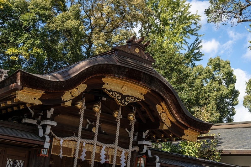 イノシシが跳梁跋扈する神社_d0353489_09282876.jpg