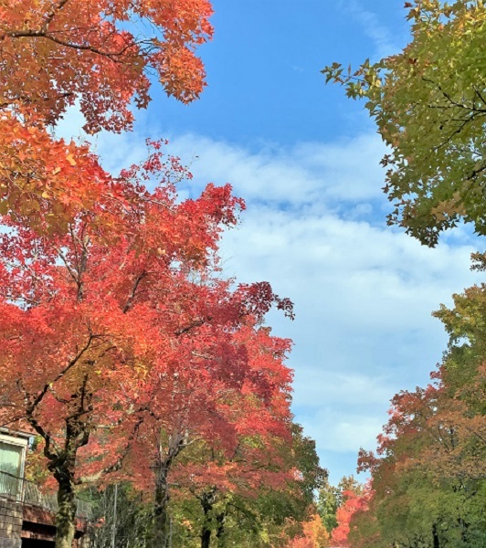 『三色彩道』に行ってきました♪_d0249193_22232964.jpg