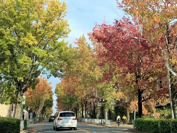 『三色彩道』に行ってきました♪_d0249193_22442937.jpg