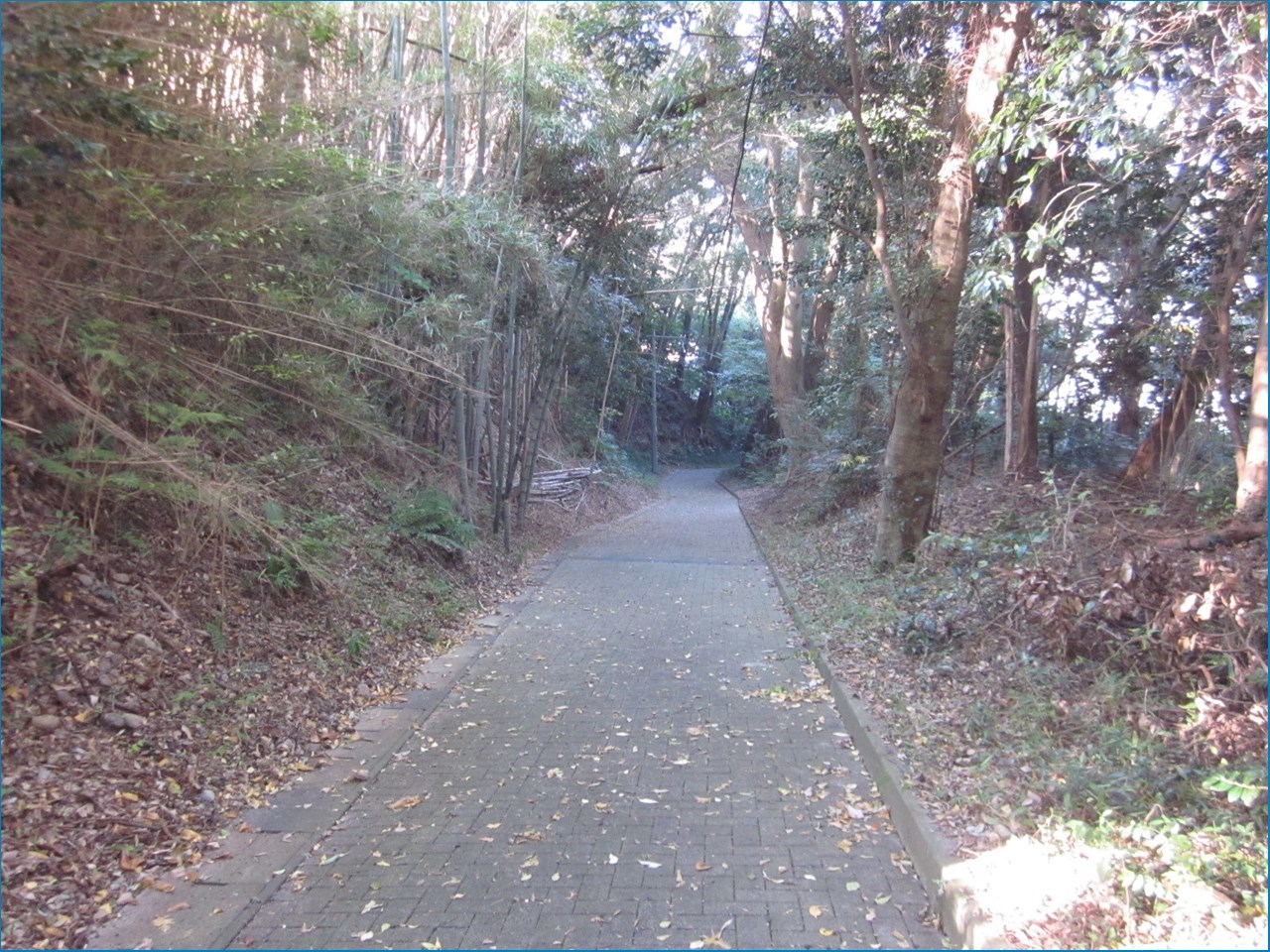 磐田市 三ケ野 七つ道_c0376508_13113787.jpg