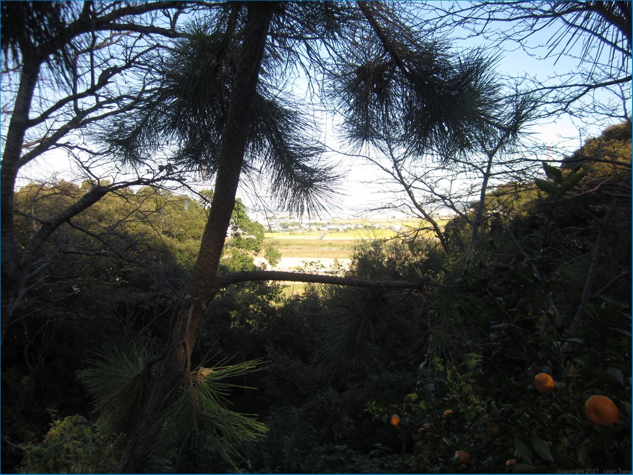 磐田市 三ケ野 七つ道_c0376508_13115163.jpg