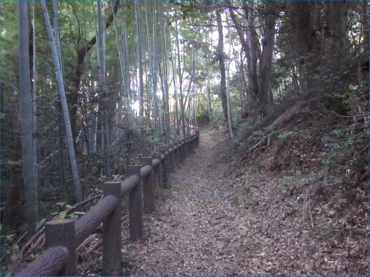 磐田市 三ケ野 七つ道_c0376508_13115903.jpg
