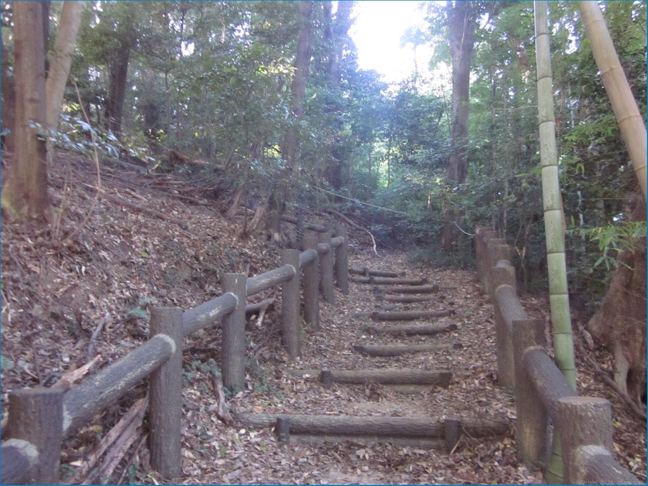 磐田市 三ケ野 七つ道_c0376508_13120516.jpg