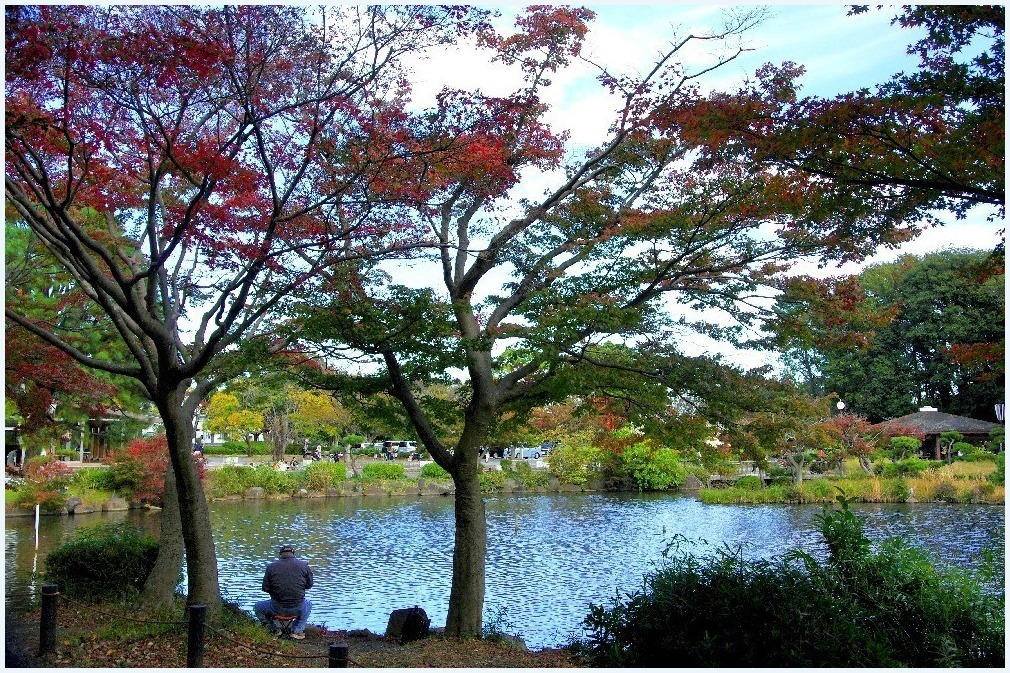 いつもの光景_c0352813_16434326.jpg