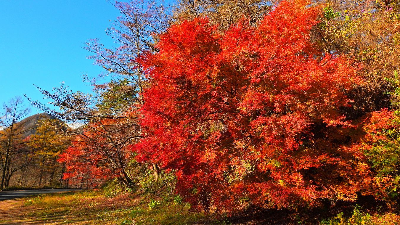 榛名湖からの帰りに伊香保「上ノ山公園」へ行ってみた。隠れ紅葉の名所！♪_a0031821_17111847.jpg