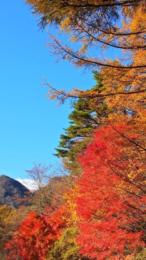 榛名湖からの帰りに伊香保「上ノ山公園」へ行ってみた。隠れ紅葉の名所！♪_a0031821_17182648.jpg