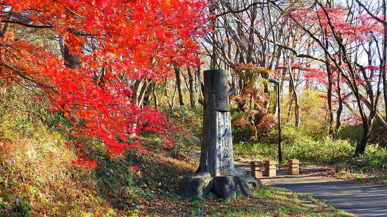 榛名湖からの帰りに伊香保「上ノ山公園」へ行ってみた。隠れ紅葉の名所！♪_a0031821_17203619.jpg