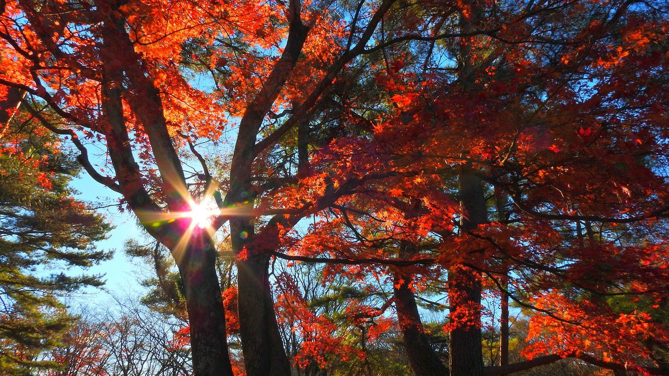 榛名湖からの帰りに伊香保「上ノ山公園」へ行ってみた。隠れ紅葉の名所！♪_a0031821_17214745.jpg