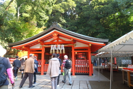 赤い鳥居の伏見稲荷山と紅葉の東福寺_c0218841_21474317.jpg