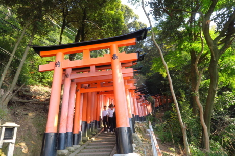 赤い鳥居の伏見稲荷山と紅葉の東福寺_c0218841_21483168.jpg