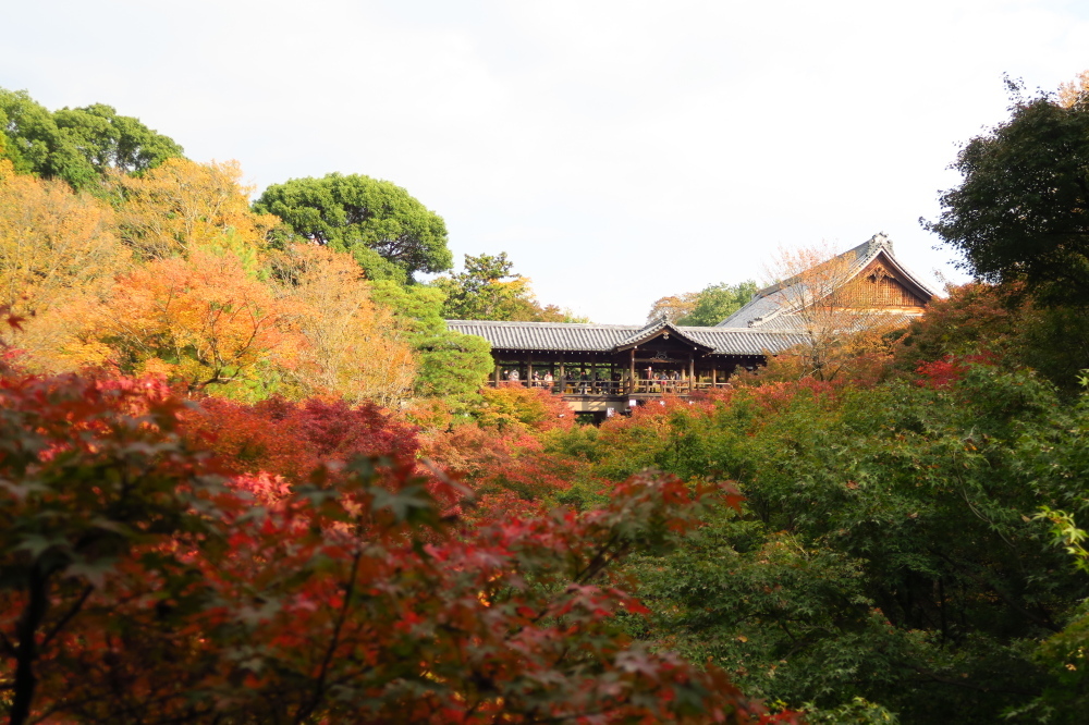 赤い鳥居の伏見稲荷山と紅葉の東福寺_c0218841_21505570.jpg