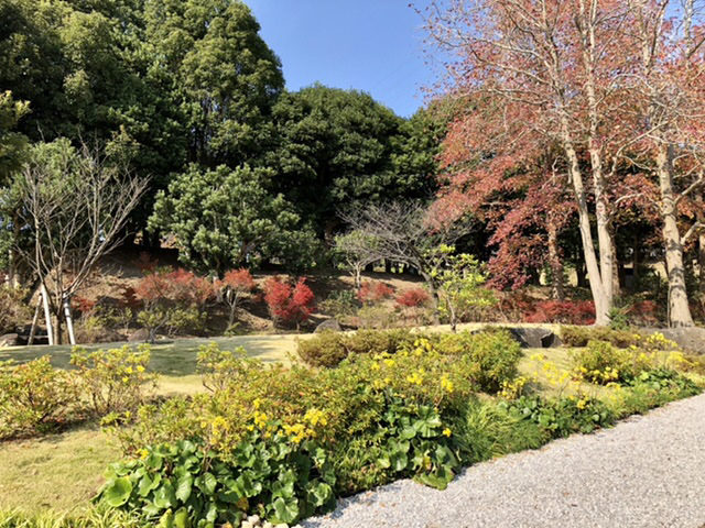 【色づく鎌倉】_b0009849_12435965.jpeg