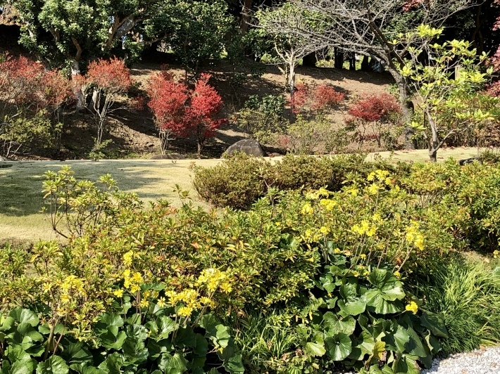 【色づく鎌倉】_b0009849_12442343.jpeg