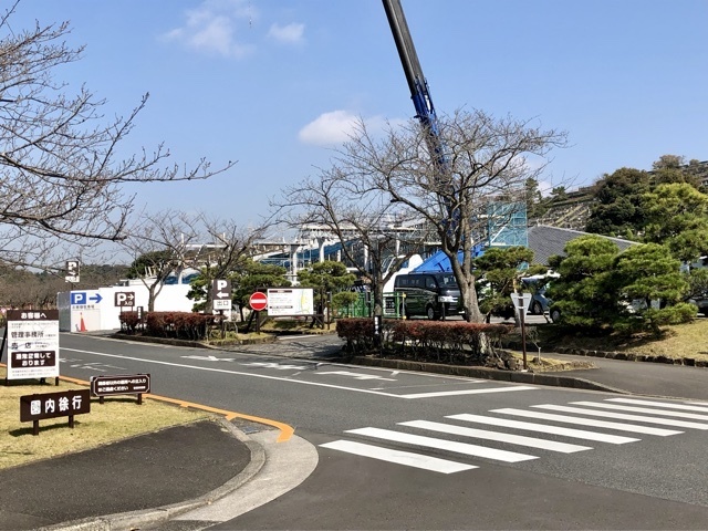 【色づく鎌倉】_b0009849_12444770.jpeg