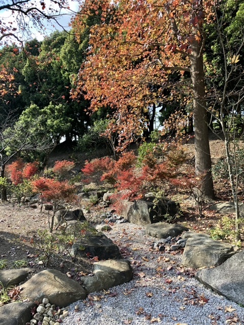 【色づく鎌倉】_b0009849_12452778.jpeg