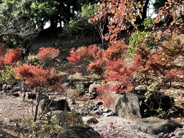 【色づく鎌倉】_b0009849_12464914.jpeg
