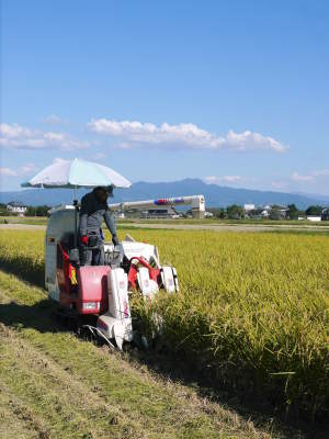 熊本の美味しいお米を紹介(2021) その2:砂田のこだわりれんげ米 れんげを有機肥料にし土にこだわる匠のお米_a0254656_17391993.jpg