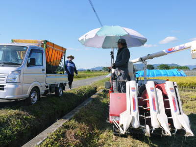 熊本の美味しいお米を紹介(2021) その2:砂田のこだわりれんげ米 れんげを有機肥料にし土にこだわる匠のお米_a0254656_17401286.jpg